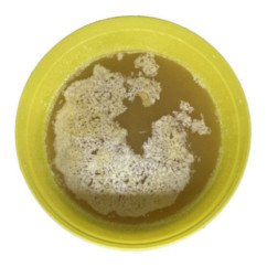 Pasta di montaggio pneumatici autocarro ICR GRIFO