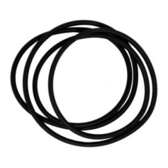 Anello di tenuta 25 pollici sottile
