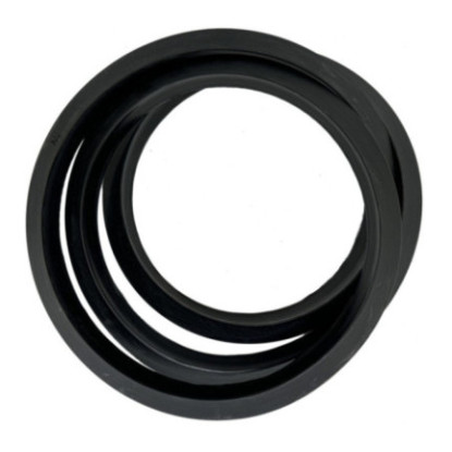 Anello di tenuta 25 pollici V