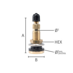 Valvola tubeless metallica Trak 618/Fer corto 0584 Wonder